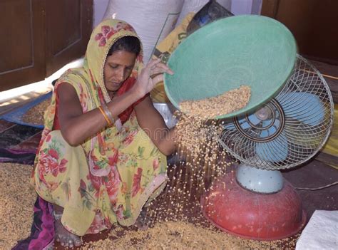 Rural Indian Women Cleaning Grain At Home Editorial Image Image Of