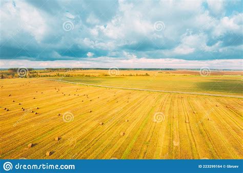 Aerial View Of Autumn Hay Rolls Straw Field Landscape Haystacks Hay
