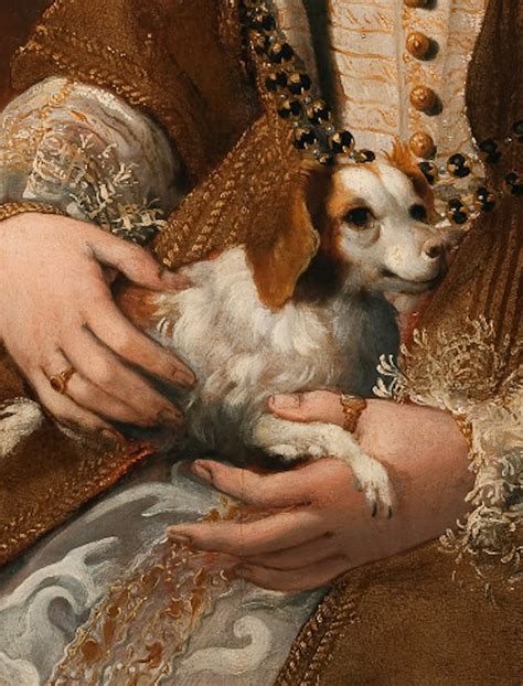 18 Renaissance Dogs Just Saying It Like It Is Art History Dog
