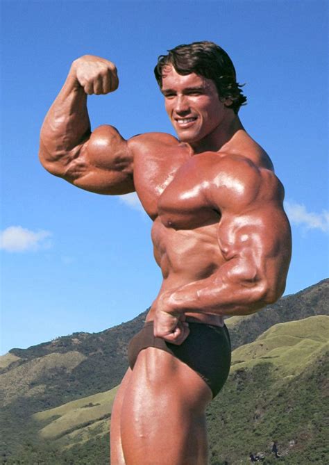 Arnold Schwarzenegger Mr Olympia 1970 1975 1980