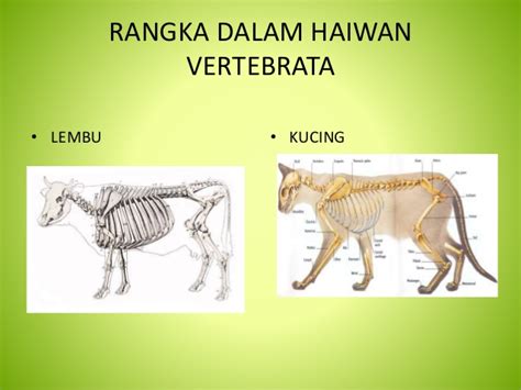 Sebuah institut latihan bagi melahirkan insan yang celik agama. Sokongan dan gerakan Tingkatan Dua
