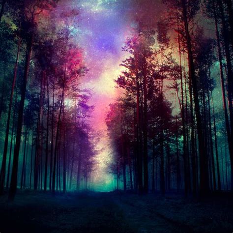 Imagen De Forest Tree And Galaxy Fondos De Pantalla Galaxia