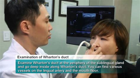 Ultrasound Intra Oral Scanning Procedure Youtube