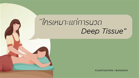 Plantdayspa I Thai Massage And Wellness Spa I นวดและสปา นวดหน้า ร้านนวดเพื่อสุขภาพ นวดกดจุด นวด