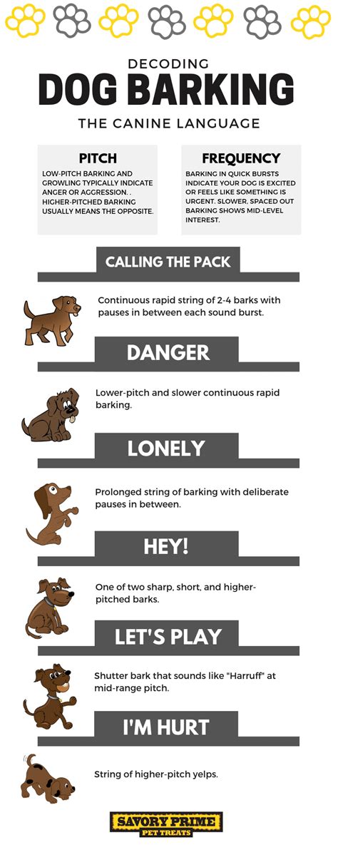 The Meaning Of Your Dogs Barks Decoding The Canine Language Savory