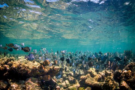 Florida Keys National Marine Sanctuary