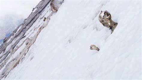 【閲覧注意】55年前に行方不明になった2人の男性が雪山で発見される・・・ ポッカキット