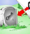 It is arguably the most recognisable sign of animal contentment: How to Know if Your Cat Is Dying: 15 Steps (with Pictures)