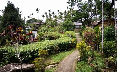 5 Reasons To Visit The Cleanest Village In Asia Mawlynnong