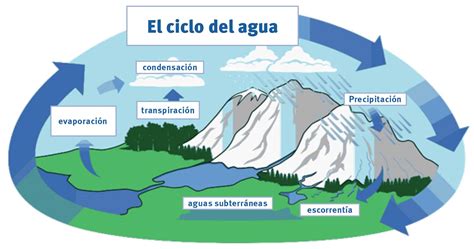 Escuela De Montaña En Casa Lección 18 El Ciclo Del Agua — North
