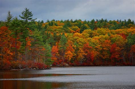 Lake Massabesic Foliage Hutdog83 Flickr