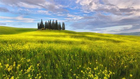 Wallpaper Italy Tuscany Spring Fields Rapeseed Flowers Sky Clouds