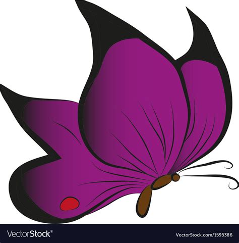 Abstract Butterfly Royalty Free Vector Image Vectorstock