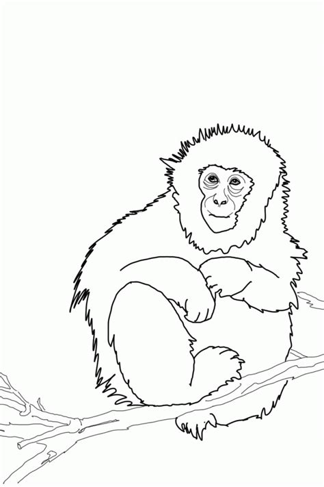 Download or print for free immediately from the site. Monkey Face Coloring Page - Coloring Home