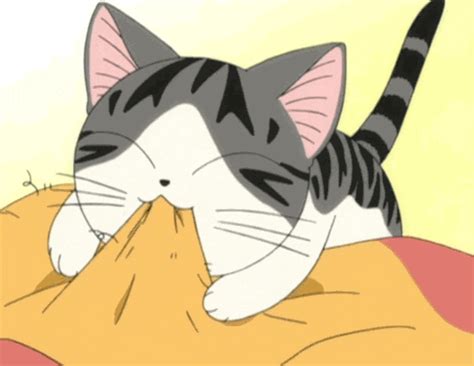 Cat Anime Gif Search