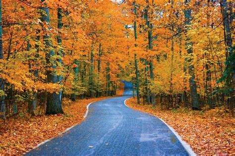 12 Of Michigans Most Dazzling Fall Color Drives Michigan Road Trip