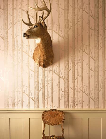 Birch Trees Pink Non Woven Wallpaper Cole And Son Woods