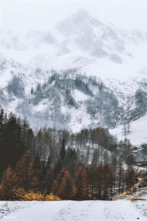 Snowy And Foggy Mountains In Italy Free Image By