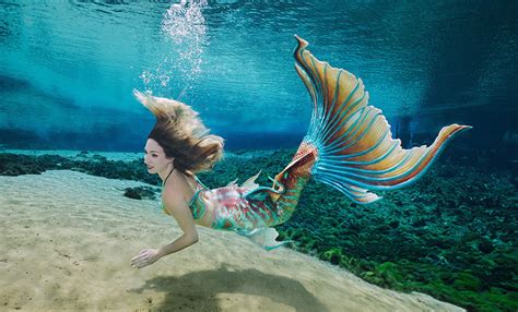 Florida State Park Looking For New Mermaids At Weeki Wachee Springs