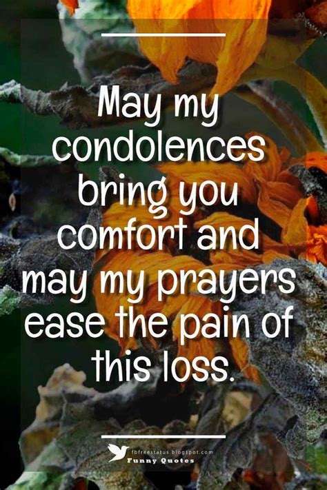 May My Condolences Bring You Comfort And May My Prayers Ease The Pain