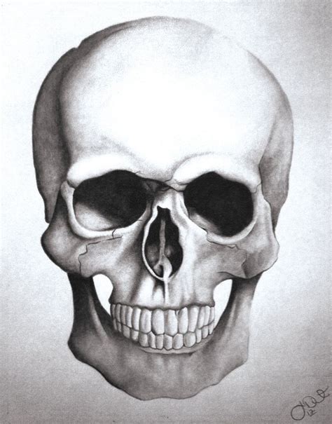 My Skull Drawing By Jdiarte14 On Deviantart Skull Drawing Skulls
