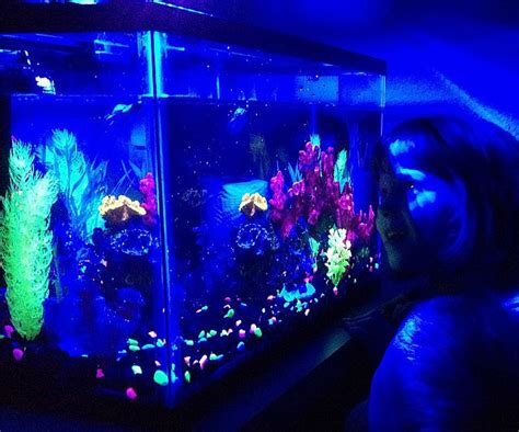 We have 75+ background pictures for you! Glow In The Dark Aquarium