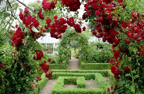 Chaque amateur de cinéma doit maze: Rose Garden Maze | Prayer garden, Beautiful flowers garden