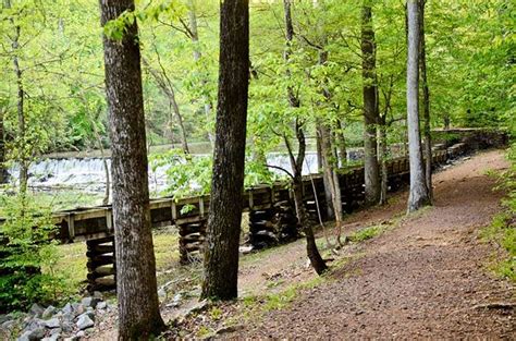 We did not find results for: Tannehill State Historical Park - Alabama Birding Trails