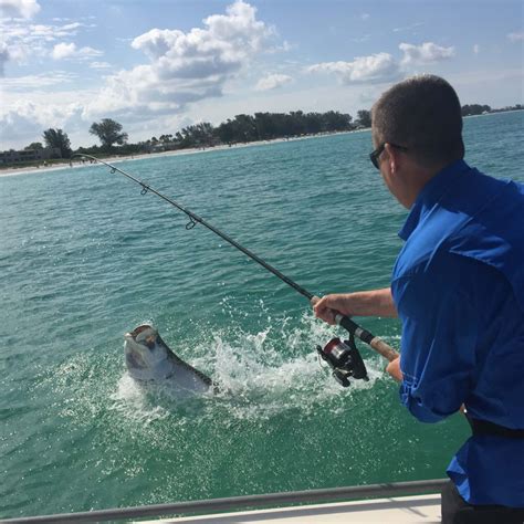 Find game schedules and team promotions. Tampa bay tarpon fishing where, when and how | Tarpon Fishing