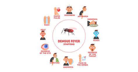 Dengue Fever Symptoms Causes Prevention And Treatments