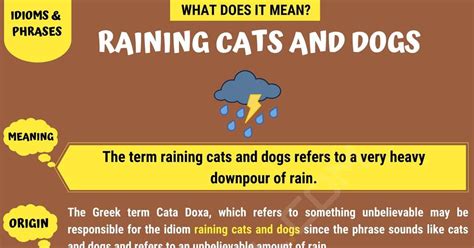 Raining cats and dogs is group of words which have the connotative meaning (of rain) in an abundant amount from a higher to a lower level, typically rapidly. Raining Cats And Dogs Idiom Meaning And Sentence