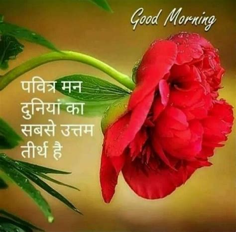 Pin By Dinesh Kumar Pandey On Su Prabhat Good Morning Quotes Good Morning Wallpaper Good