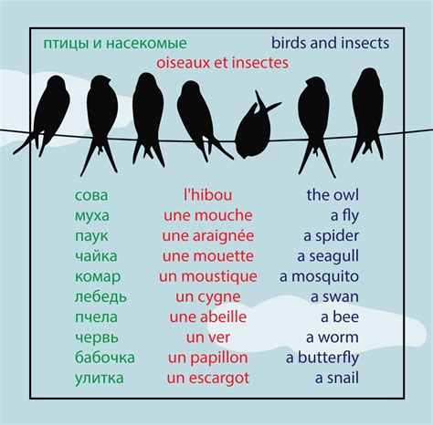 Animals That Start With N In French Inside Came