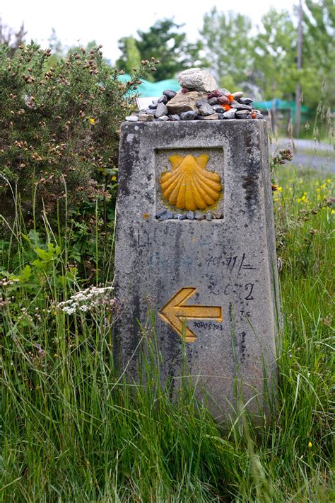 For faster navigation, this iframe is preloading the wikiwand page for laraño (santiago de compostela). A Guide to Santiago de Compostela for Pilgrims