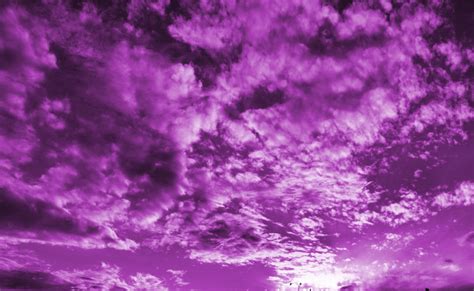 Me The Visionary Enlightened Soul Purple Sky