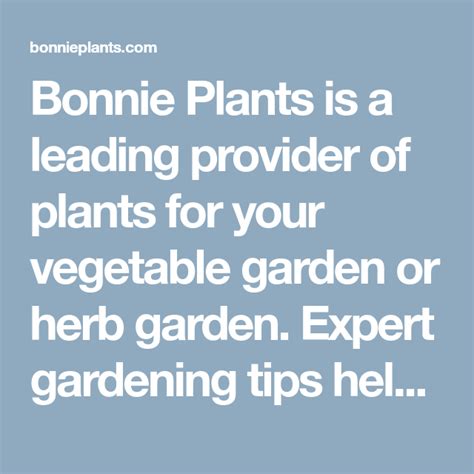 Bonnie Plants Is A Leading Provider Of Plants For Your Vegetable Garden