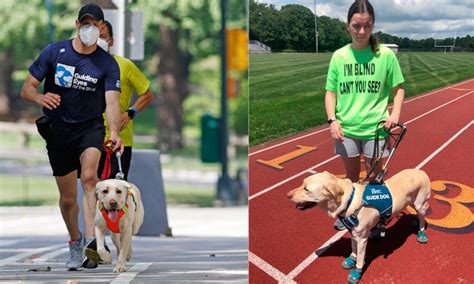 Guide Dogs Helping Visually Impaired Runners Stay Fit Despite Pandemic