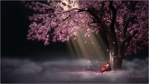 This hd wallpaper is about cherry blossom tree on cliff digital wallpaper, cherry blossom on cliff mountain, original wallpaper dimensions is 1920x1080px, file size is 278.43kb Живые обои Аниме Sakura Drop Animated Wallpaper скачать ...