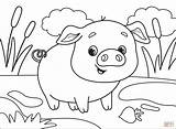 Pig Coloring Pages Printable Animals Supercoloring Games Paper Categories sketch template