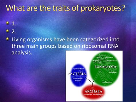 Ppt Prokaryotes And Viruses Powerpoint Presentation Free Download