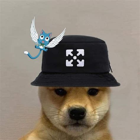 Pin De Stilly En Dog With Hat Perros Perrito Shiba Inu