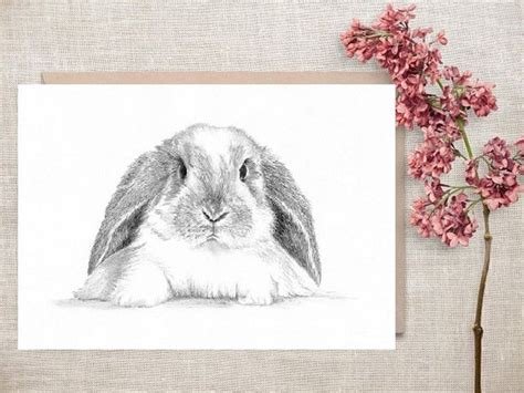 Lop Eared Rabbit Bunny Limited Edition Art Drawing Print Etsy