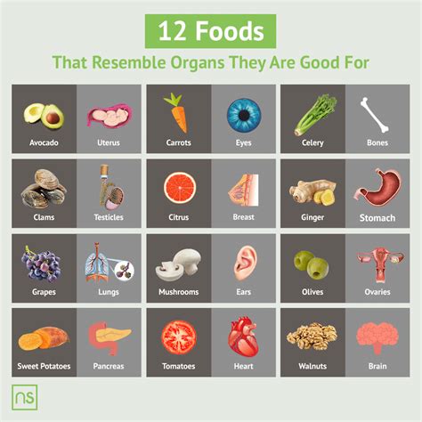 12 Foods That Resemble The Organs They Are Good For