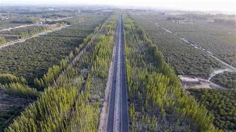 Xinhua Headlines Man Made Oasis Xinjiangs Green Wall Fights