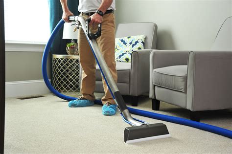 Should You Rent A Steamer Or Hire A Professional Carpet Cleaner