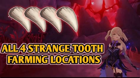All Strange Tooth Farming Locations Genshin Impact Youtube