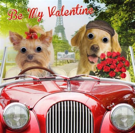 Be My Valentine Dogs In Car Valentines Day Greeting Card Cards