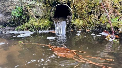 Hundreds Of Sewage Leaks Detected Thanks To Ai Bbc News