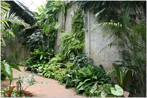 Southeast Florida Garden Evolvement Fairchild Tropical