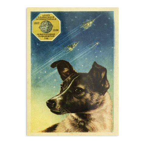 Buy Laika Soviet Space Propaganda [Sovietwave] s Vintage Room Decor | s